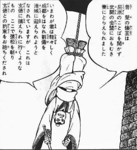 @wanivspbao 三国志で見たことある 