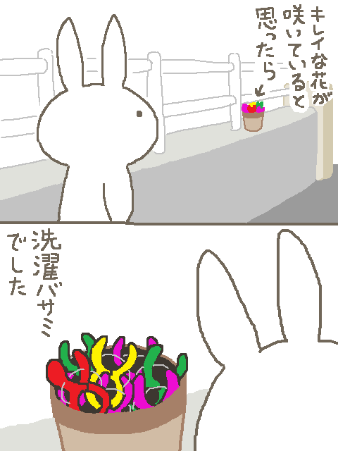 今日のできごと 