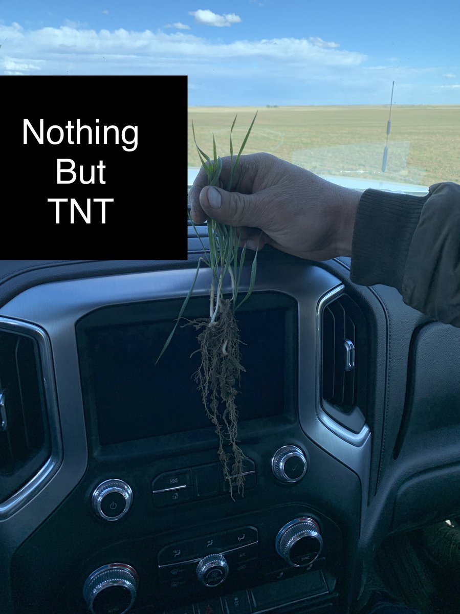 Trinitybiochem's tweet photo. #TNTseedperfection working Pretty awesome! Time for #RevUp2X #Trinitybiochem #plant21 https://t.co/76sEkjKtG6