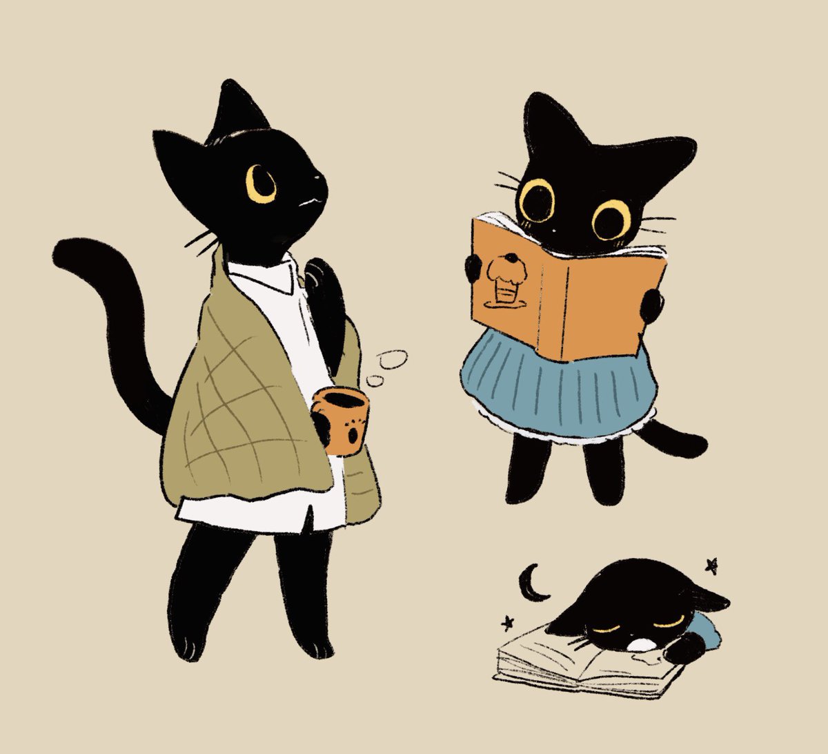 book holding cup simple background shirt black cat cat  illustration images