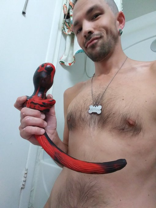 2 pic. I got an @OxBalls colorswirl tail a while back in beagle size. I absolutely LOVE IT and I just