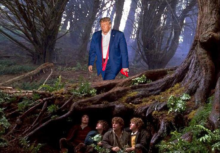 c23_vicky's tweet image. #CreepyDonald