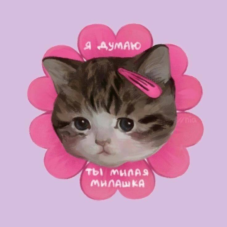 всем привет! я <a href="/honeyyyuh/">рест | hаніянія ⁴′⁶'⁷'⁸ keeho's gf!!! #ꑭ 🇺🇦</a> и это мой новый акк!
мне стало плохо на старом, хоть он и был мне дорог и там было столько воспоминаний, но мой комфорт мне важнее! 
если вы не против общаться со мной и дальше, зафол меня и я сделаю это в ответ💜