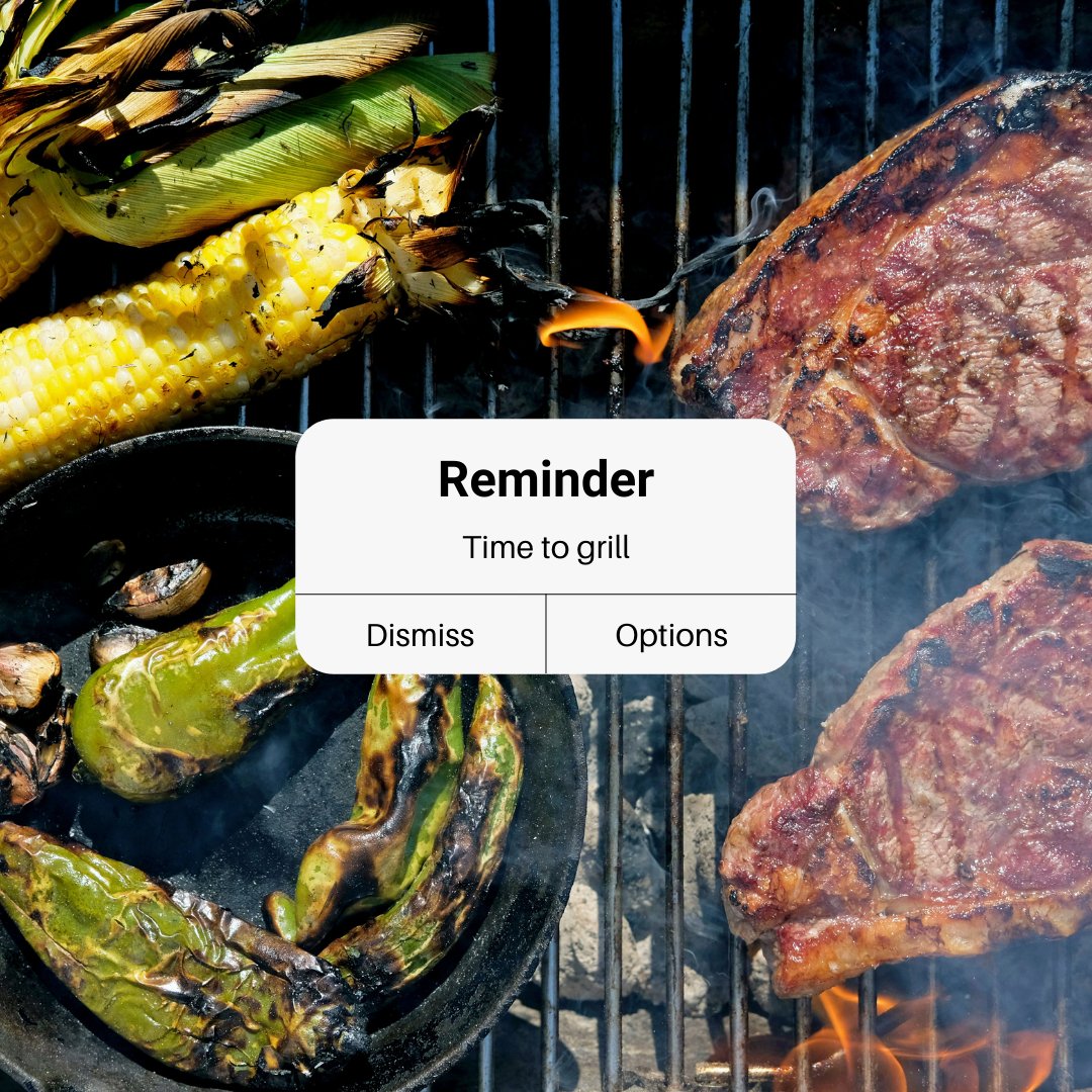 pkgrills's tweet image. Consider this your Memorial Day weekend reminder to #CookOutside.