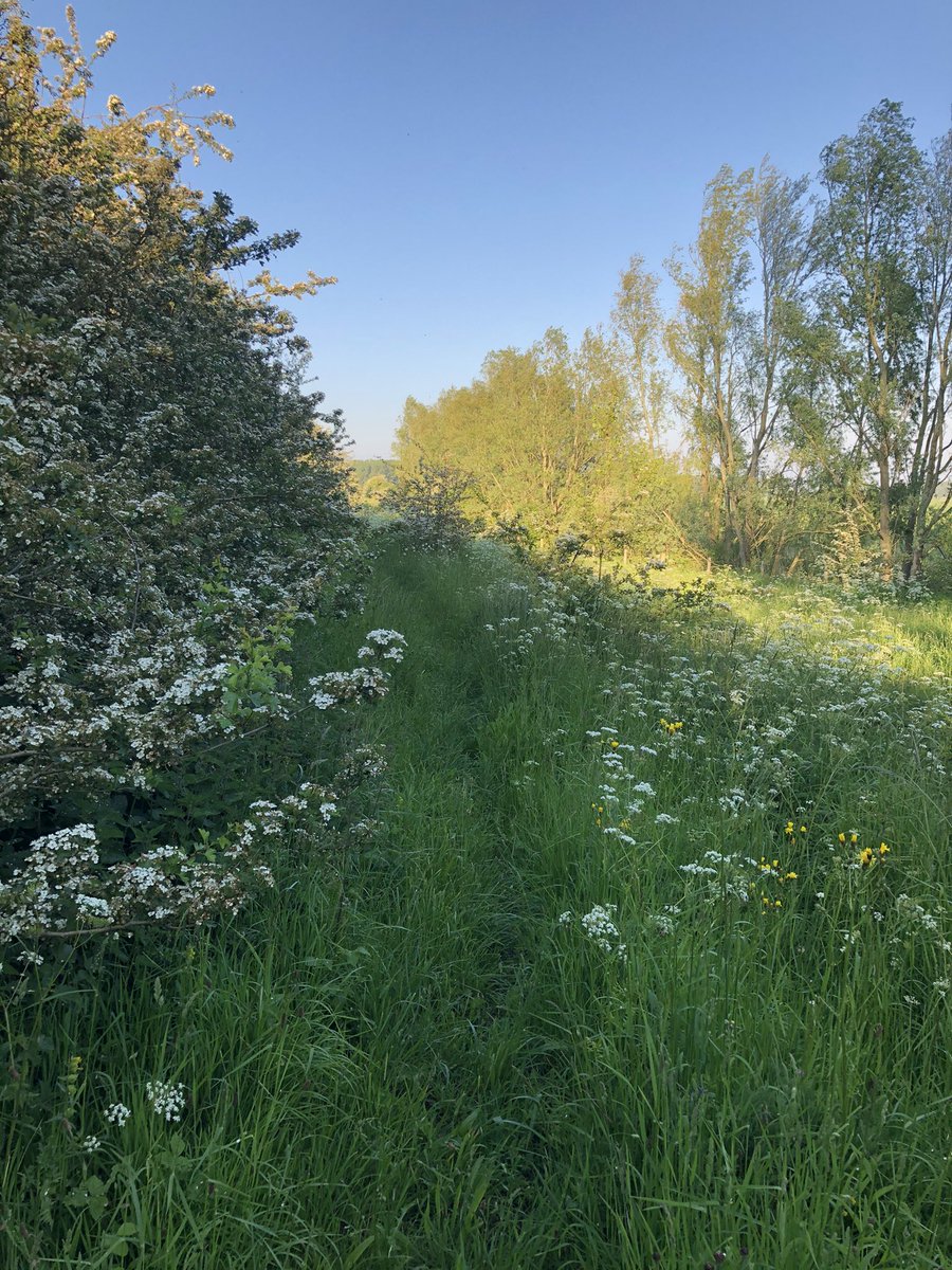 JoanvanBurg1's tweet photo. Was nog even in #Middelburg 😌

#staatsspaanselinies #zeeuwsvlaanderen #grensgebied #erfgoef #sluis https://t.co/cf90swAIp6