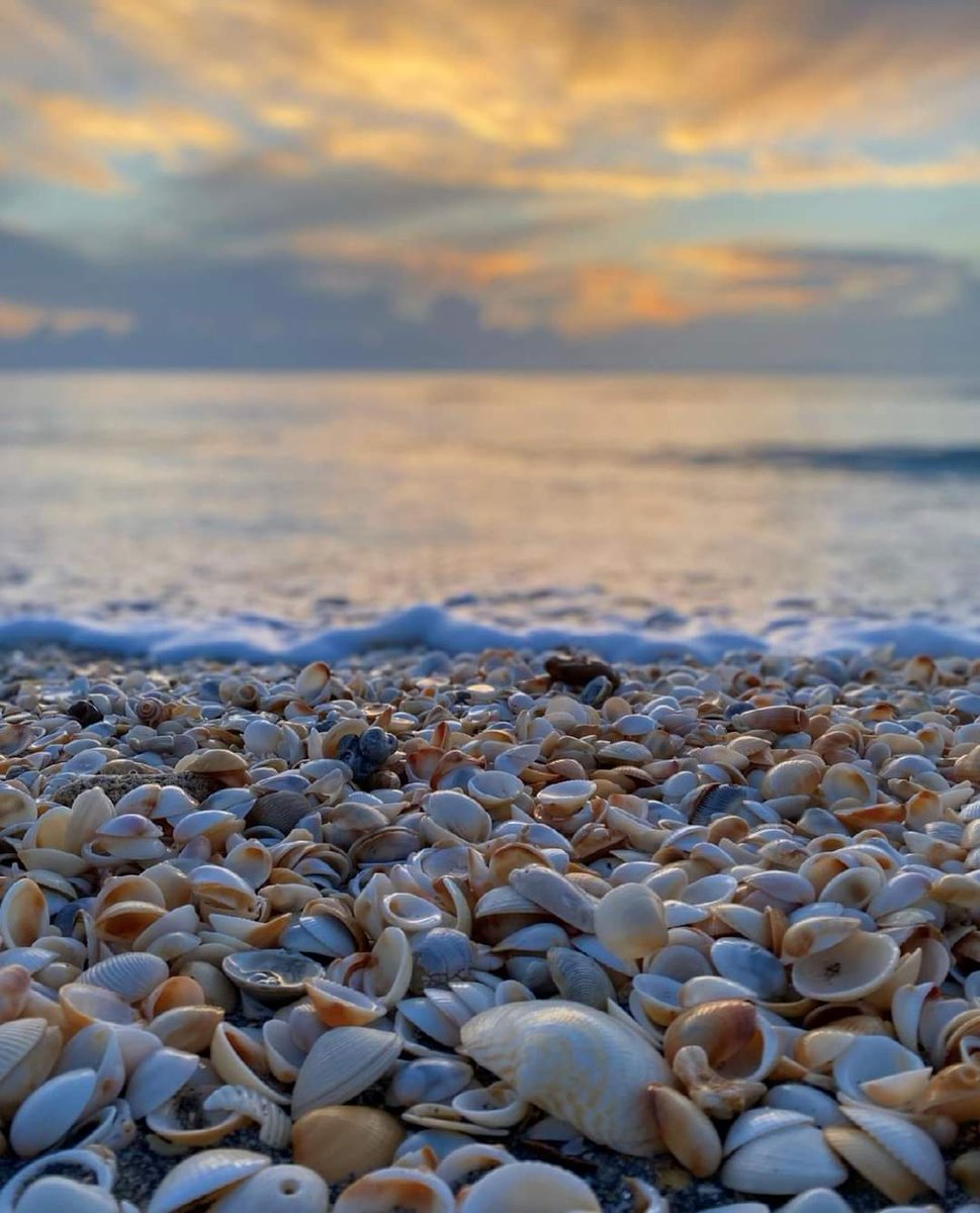 ChildCandles's tweet photo. #saturdayvibes 🐚🌊😉 https://t.co/cWfBbF5GBB