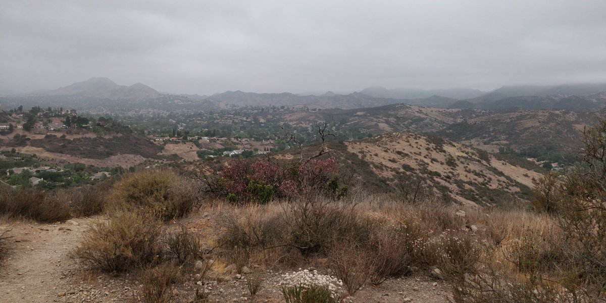 Mirdear1's tweet photo. Today we did Bridgegate Trail, no 9. Nice overcast morning for a hike.
#coschallenge https://t.co/IBgatJa60v