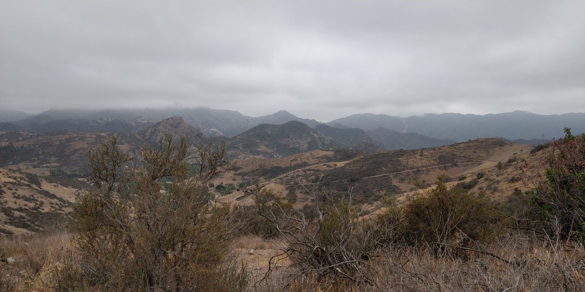 Mirdear1's tweet photo. Today we did Bridgegate Trail, no 9. Nice overcast morning for a hike.
#coschallenge https://t.co/IBgatJa60v