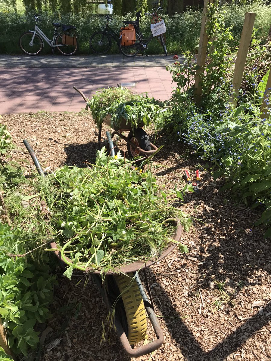 Buurttuin Delfgauw tweet media