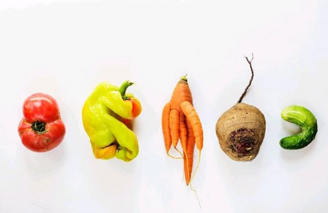 FAOAmericas's tweet photo. ⚠Cuando se trata de frutas y verduras 🚫🗑, toneladas de ellas ni siquiera llegan a nuestra tienda de comestibles porque son rechazadas en su camino de la granja a la tienda 🛒

Mira más allá de las apariencias y evita el desperdicio de alimentos 

#DesperdicioCero https://t.co/xhgspEmCzf