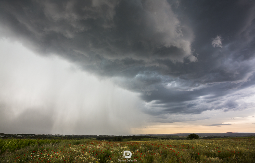DorianDziadula's tweet photo. ⛈️Première sortie de la saison 2021, avec l'arrivée d'un #orage entre #Montpellier et #Nîmes en ce début de soirée. https://t.co/cytDb52RbK
