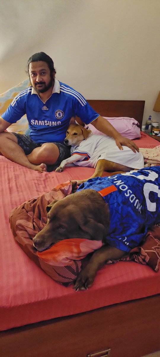 When you're married to a Chelsea fan. The dogs have their jerseys on too. 

I've been told to not ask questions and not disturb.

#UEFA #ChampionsLeagueFinal #ChelseaFC