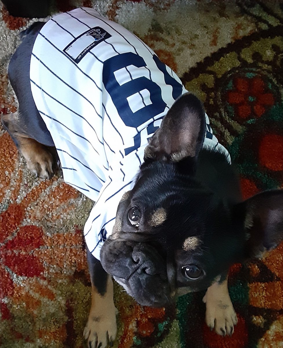 Kiwi Snuggles is ready for the game! 
<a href="/Yankees/">New York Yankees</a> <a href="/TheJudge44/">Aaron Judge</a>