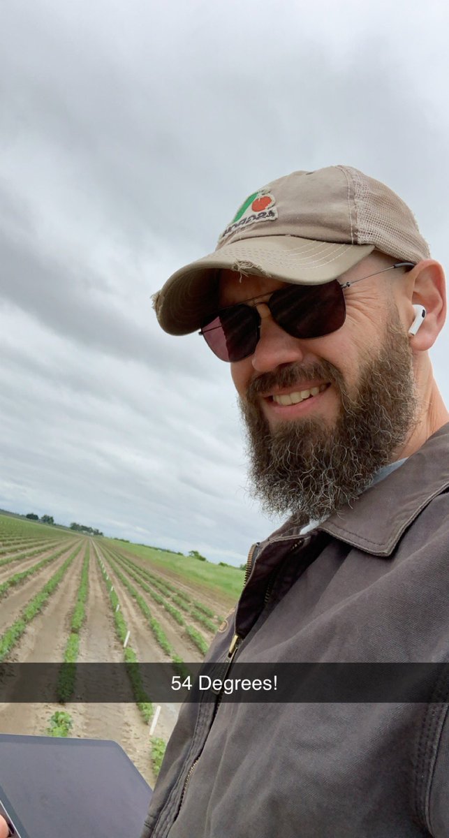 Memorial Day Weekend and something is wrong with this picture. *Hint* It’s not the beans. Feels like I’m walking yield plots in Minnesota not Arkansas.