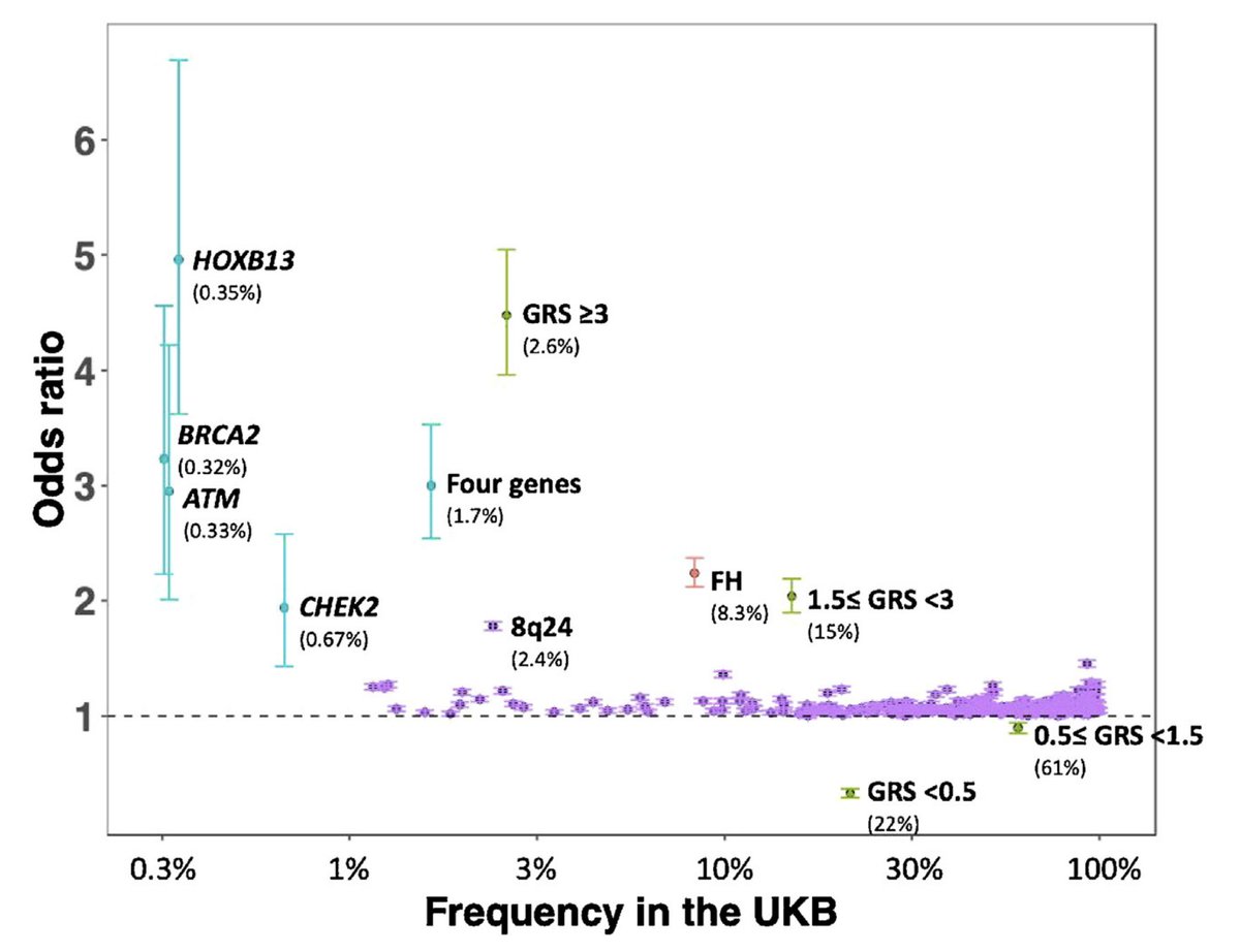 Burcu Darst tweet media