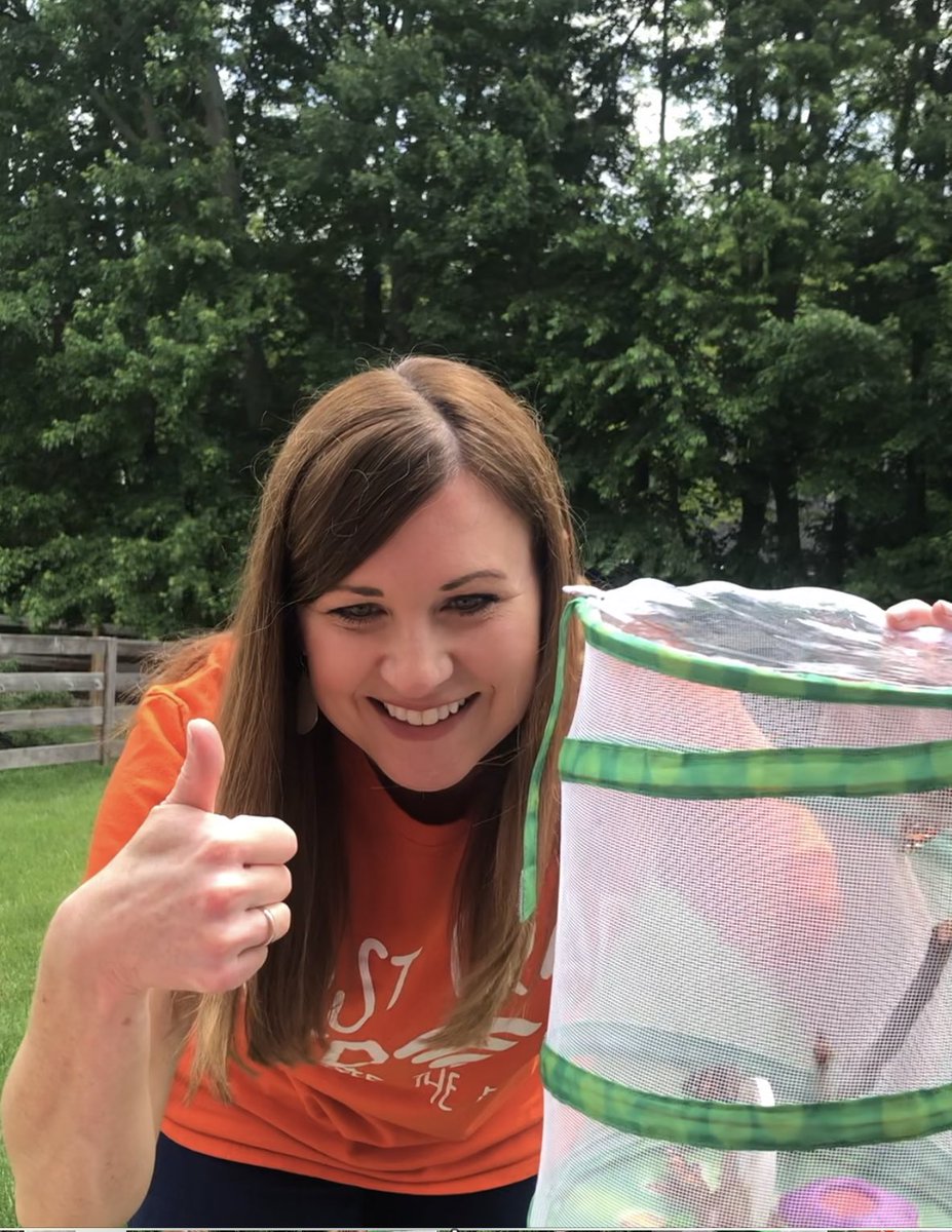 readingtigers's tweet photo. It was only fitting to release our  beautiful butterflies during our last zoom meeting together as a class.  We learned that we CAN do hard things! These firsties are ready to fly! I can’t wait to see where life takes them! 🐛🦋 #onlinefirsties #lovelandtigers #lecctigercubs https://t.co/taYeyQRzmP