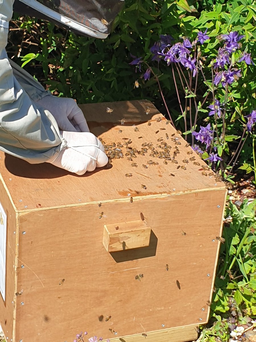 Lucypayne1@hotmail.com tweet media