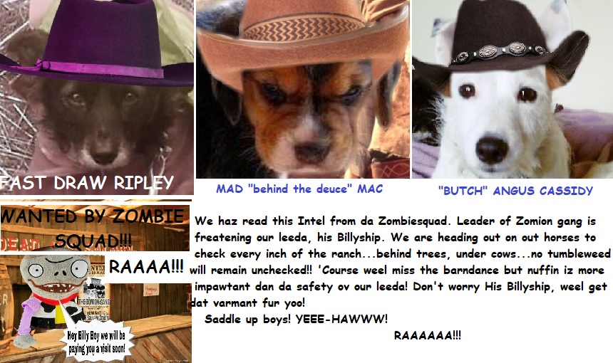 Destroyer_Angus's tweet photo. #ZSWesternMonth #ZSHQ #ZZST @BraveWinston @LordBiddy @RhondaHendee  @ZeroRice1012 @WestieBiscuit @MadSCWT @ZombieSquadHQ @MillieOTLFP @honeybun667  @BengalPandora @peemail @littlebeastben @FrecklesXX20  @MuddlesDog @terrihyphenann @HoneyDogKimura 
@WestieBichon @Sprocket_Cool https://t.co/RGQ7RUn3Pt