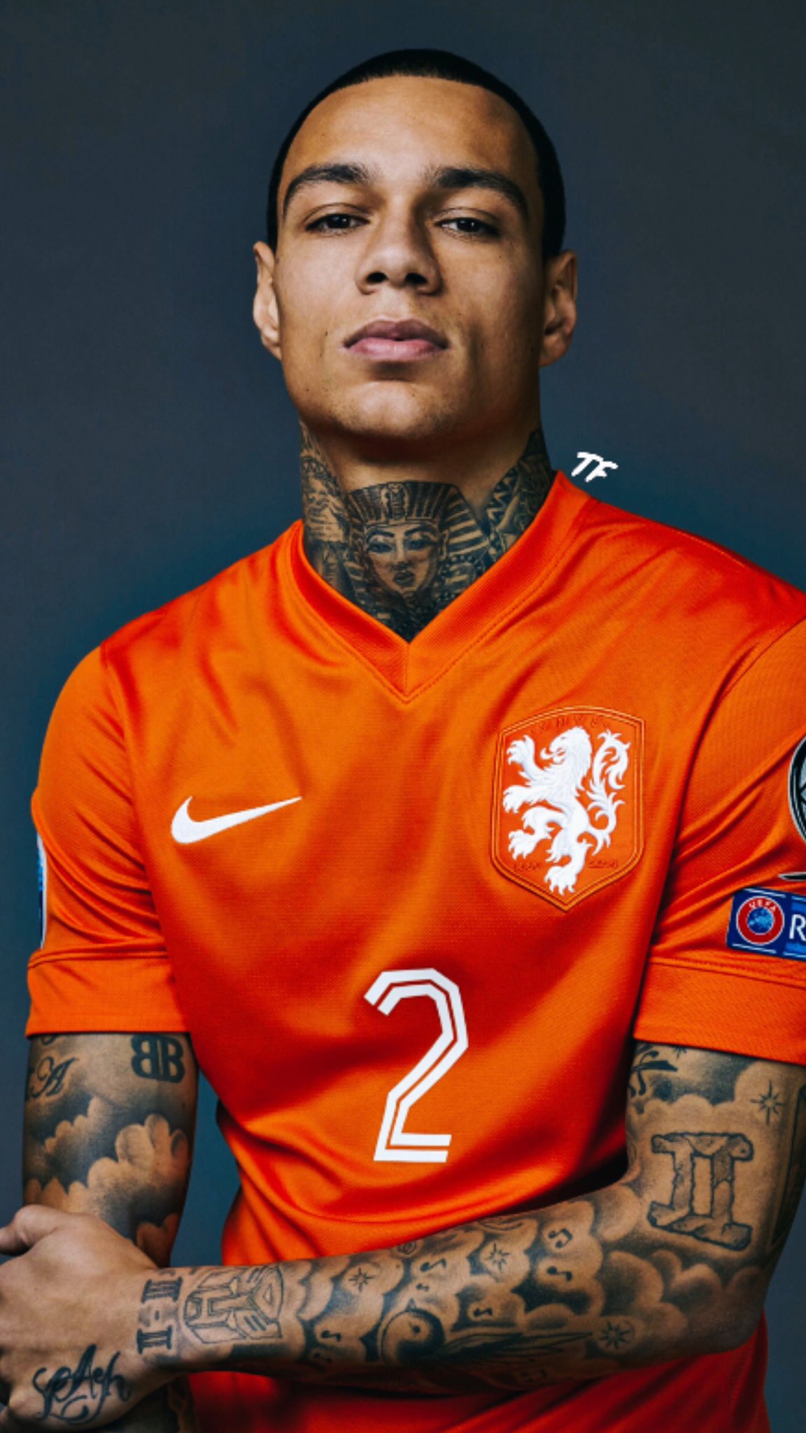 TF Sport Edit (de volta!) on X: Van der Wiel  Wallpaper Requested by  @_alvaroviana #VanderWiel #Neederlands #PSG #ManUnited #TorontoFC   / X