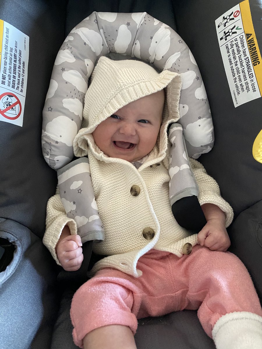 MsAnnaNelson's tweet photo. How it started...           How it’s going... https://t.co/ynVS8Czcj9