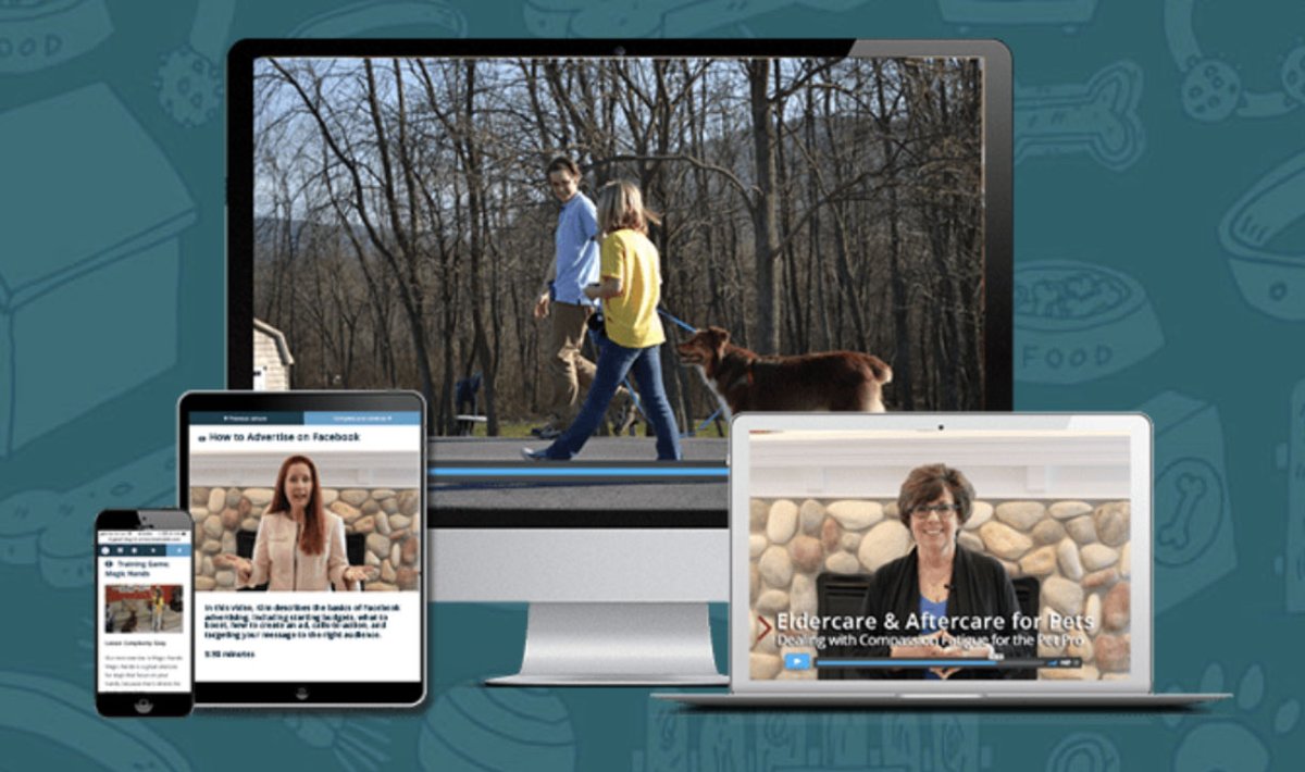 GoodDoginaBox's tweet photo. Today's freebie is a year-long subscription to Good Dog Pro, our program for professional dog trainers. Over 200 videos and resources. Get CU credits. Use with clients. $240 value free today only with $200 purchase. https://t.co/y9LvIrbcqD #dogtrainers #dogtraining #cpdt https://t.co/rESZc164c9