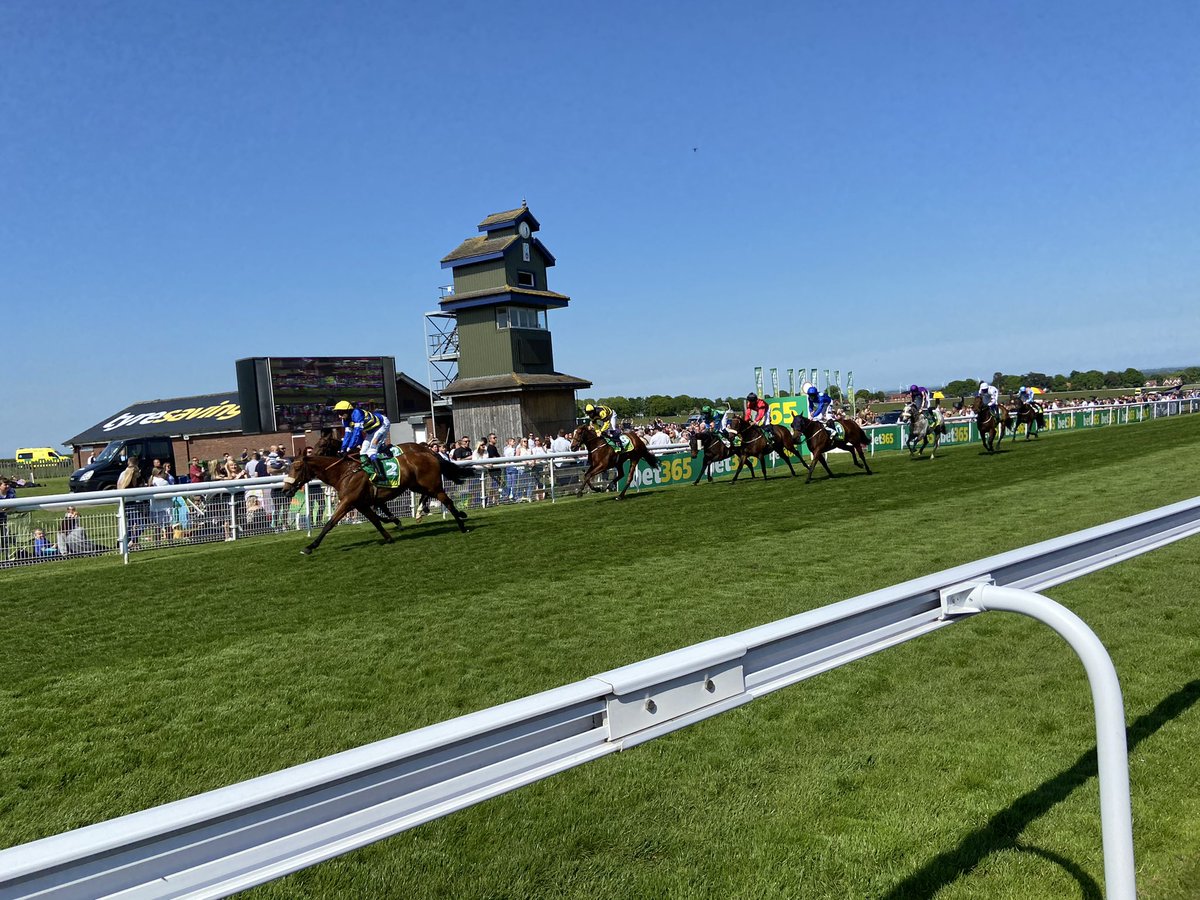 mollhun's tweet photo. Byron’s Choice winning the @bet365 Handicap for @mdodsracing and James Sullivan https://t.co/K5qrffTMSH