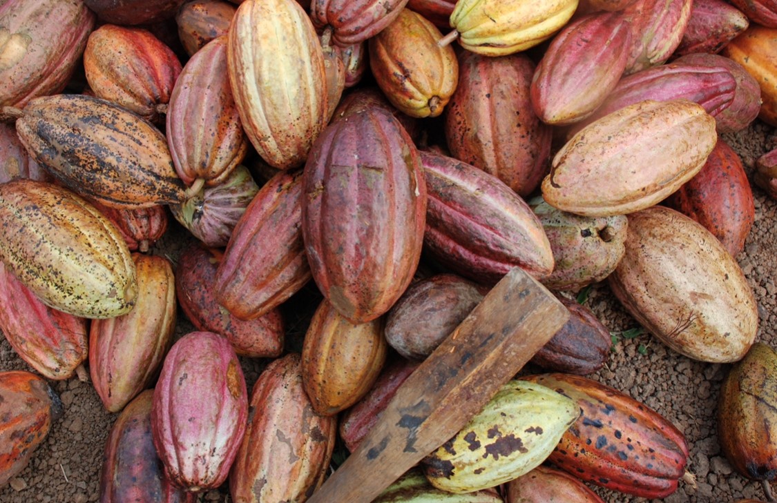 Eclat Chocolate tweet media