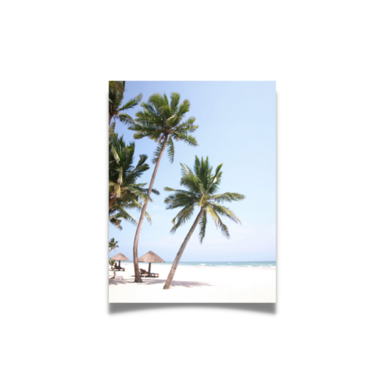 JanetteGhedotte's tweet image. Imagine breezy airy beach 🏖 palm tree 🏝 paradise.

⬇️  Where&apos;s your FAVORITE beach vacation location?

#dreamvacation #beachlife #palmtreeparadise #whitesandybeach #restandrelaxation #beachvacation
 #ipreview via @preview.app