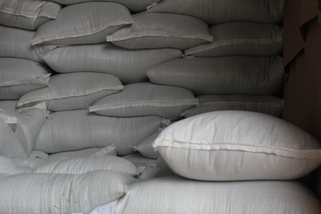 RawGrain_'s tweet photo. 🍃¡𝗢𝗿𝗴𝘂𝗹𝗹𝗼𝘀𝗼𝘀! 

Ver estos sacos apilados nos llena de satisfacción y orgullo, porque nos dicen que hicimos las cosas bien, produciendo alimentos para todos los venezolanos y que aportamos en el crecimiento agroindustrial de Venezuela.

#RawGrain #Agricultura #Venezuela https://t.co/qamjTkL0gJ