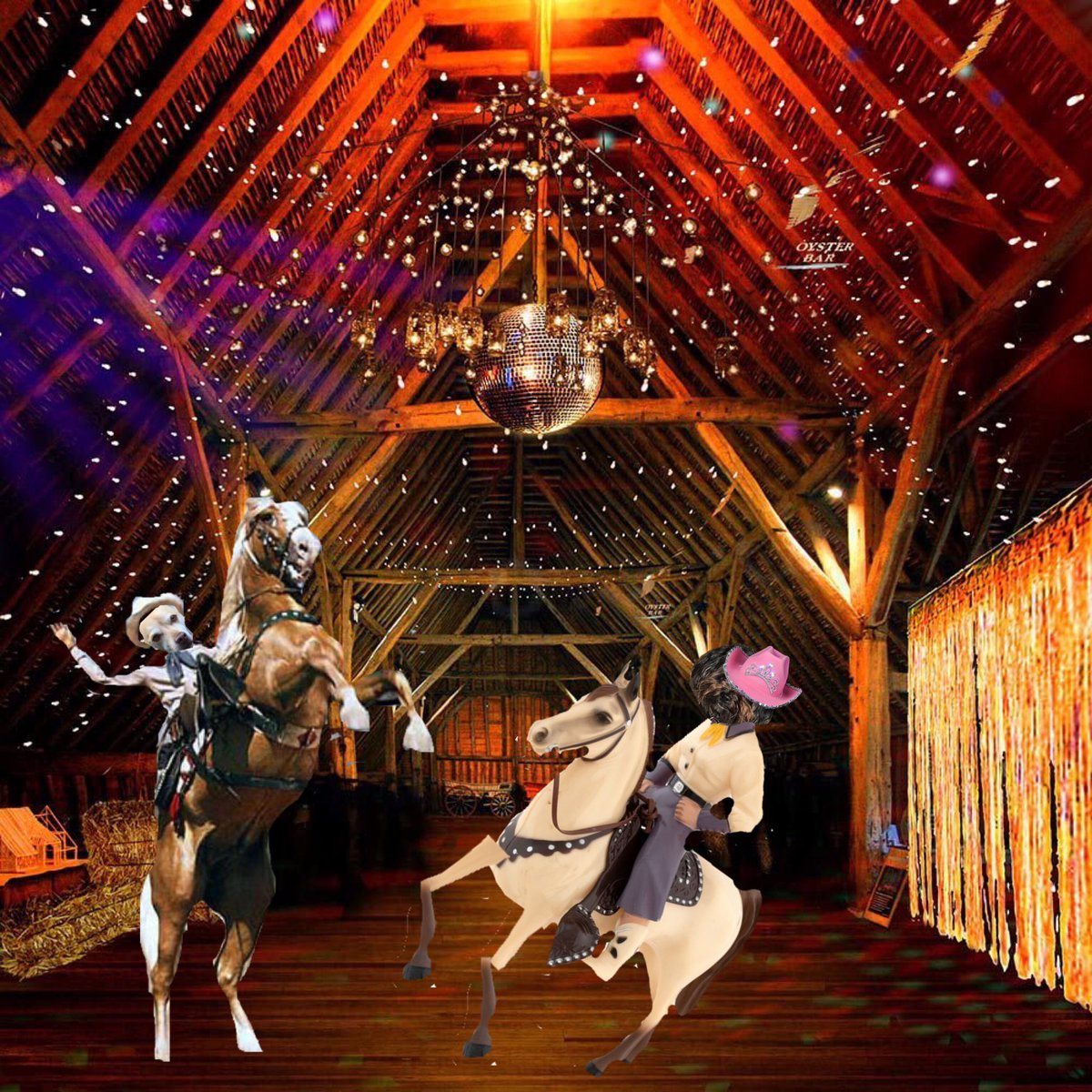 SheilaMSpence1's tweet photo. Yippee Ty Yay!!!!! and Do-Si-Do!!!! Me and Rosie, Queen of the West, is cuttin' a rug! "We feel lucky." #ZZST #ZSHQ #ZSWesternWeek https://t.co/xPx1W7CJsg