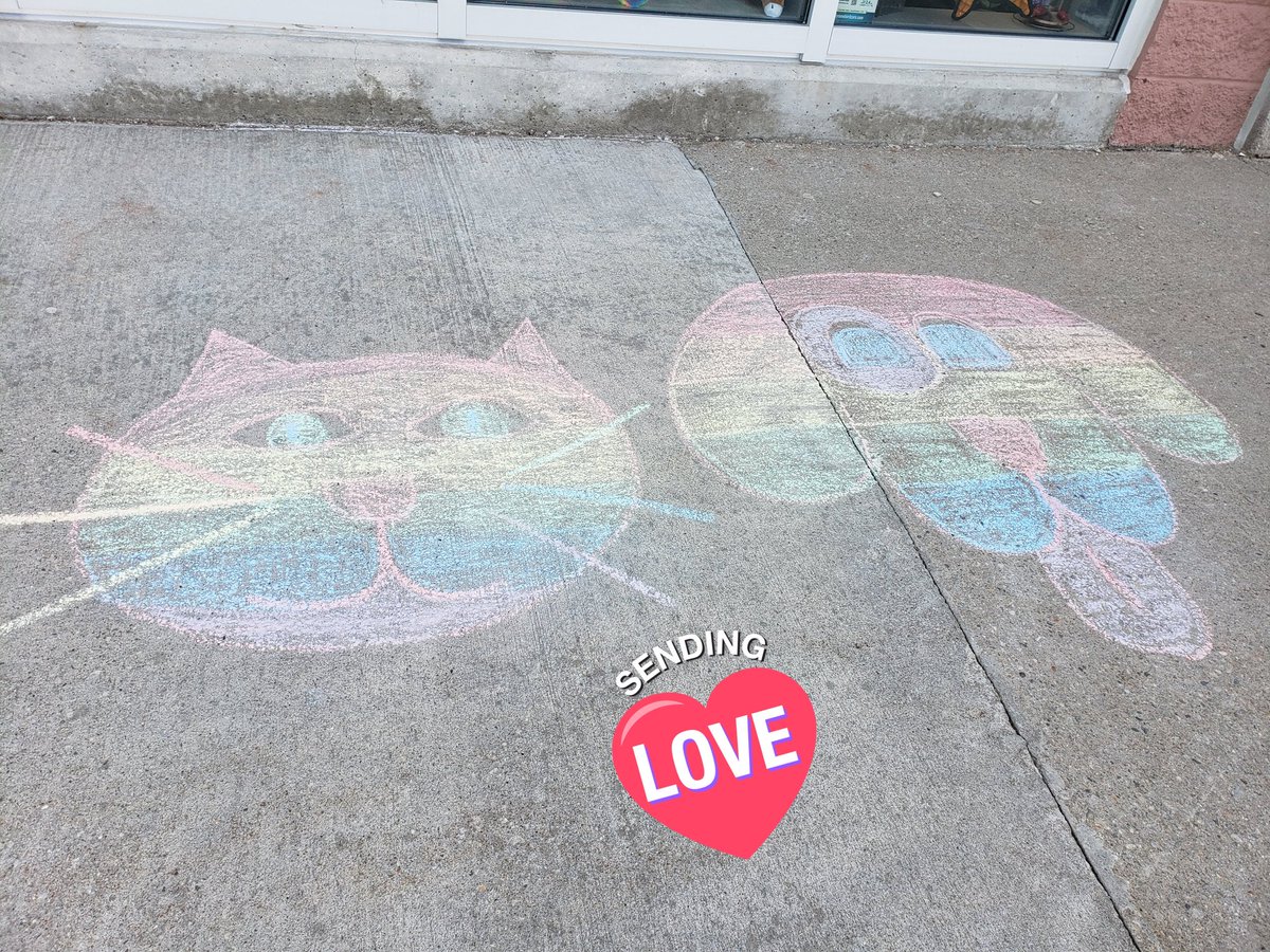 #HappyPrideMonth #RenegadeRainbows 
@BallantyneCW @petvalu
#centrewellingtonontario