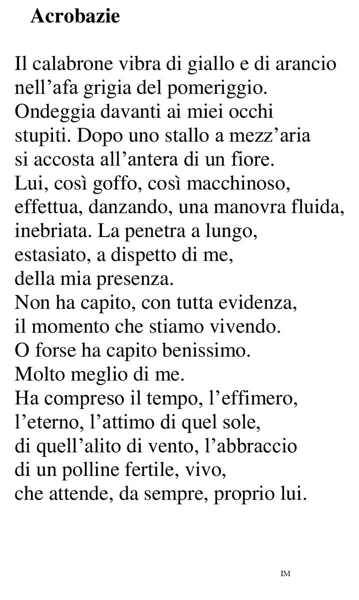 ivanomugnaini's tweet photo. Acrobazie https://t.co/3v9cUTMqit