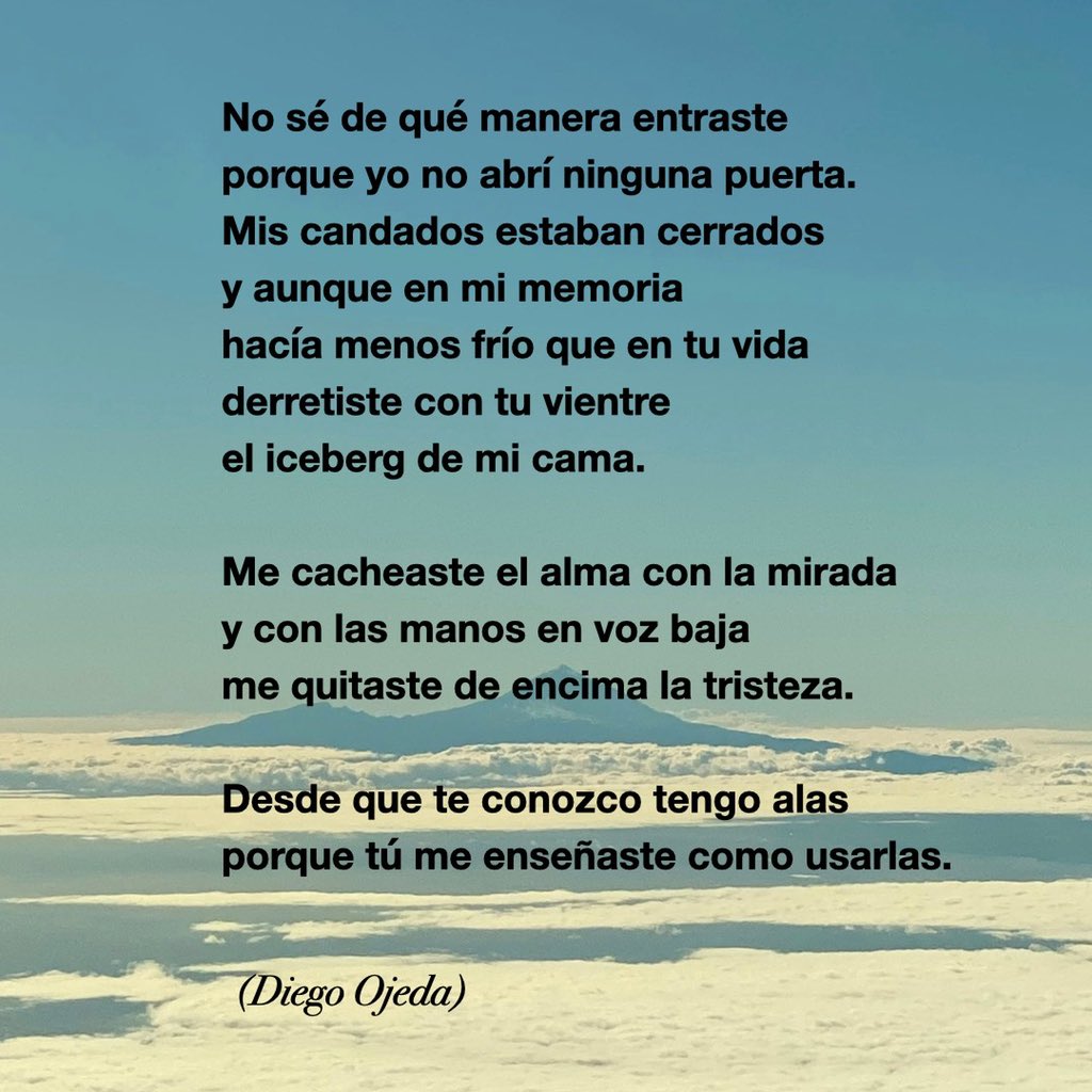 Carolina Darias tweet media