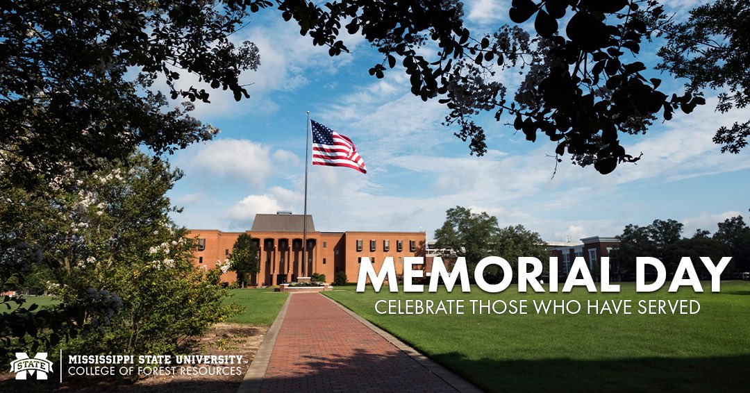 MSU Forest Resources tweet media