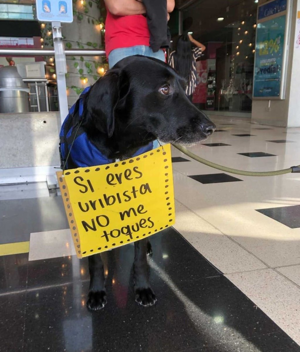 OrjuelaMontano's tweet photo. Hoy me levanté con ganas de putiar a la gente de bien!!!
¿Confirmen si les pasa igual?

#ParoNacional29M 
#VanessaLaPoliciaEs 
#YoSoy1raLinea https://t.co/6ecOmKkRv9