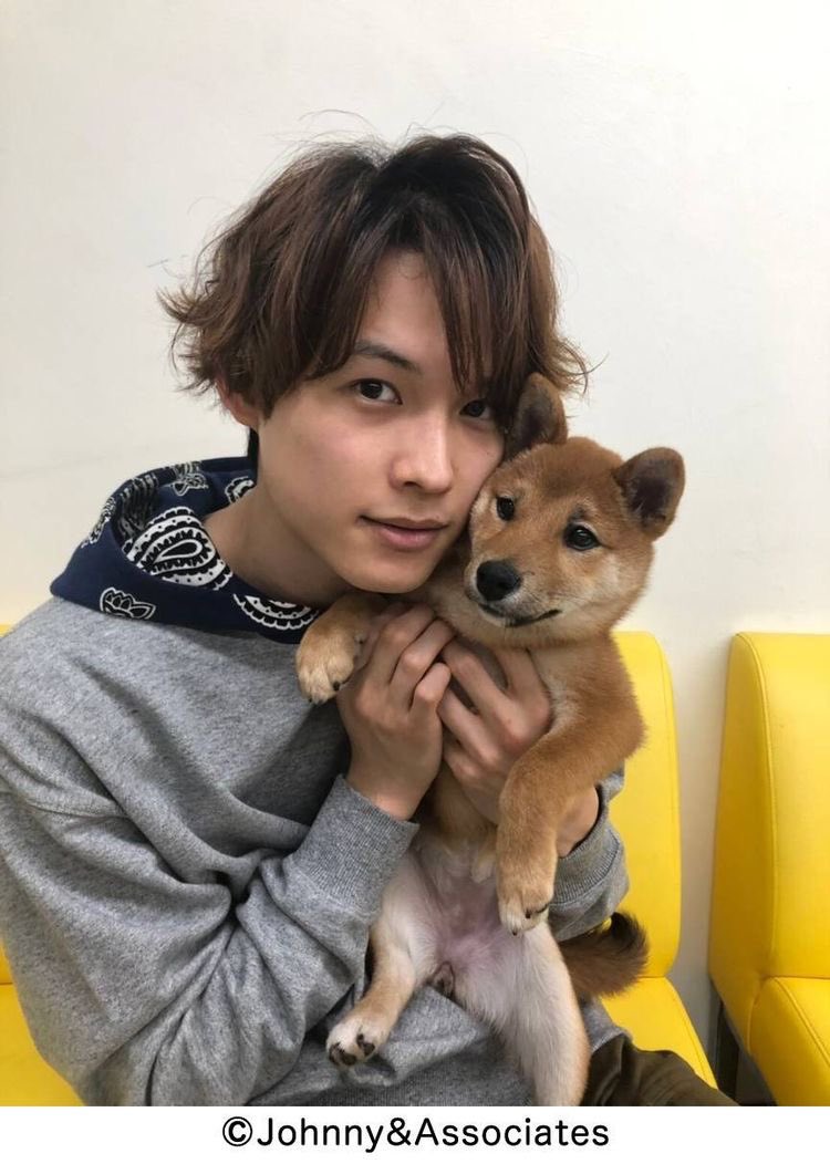 𝐾𝑢𝑟𝑢𝑚𝑖 なるほど 今の松村北斗の待ち受けはこれのシベリアンハスキーver なのね 見たい 見たすぎる絶対可愛いじゃん Sixtonesann