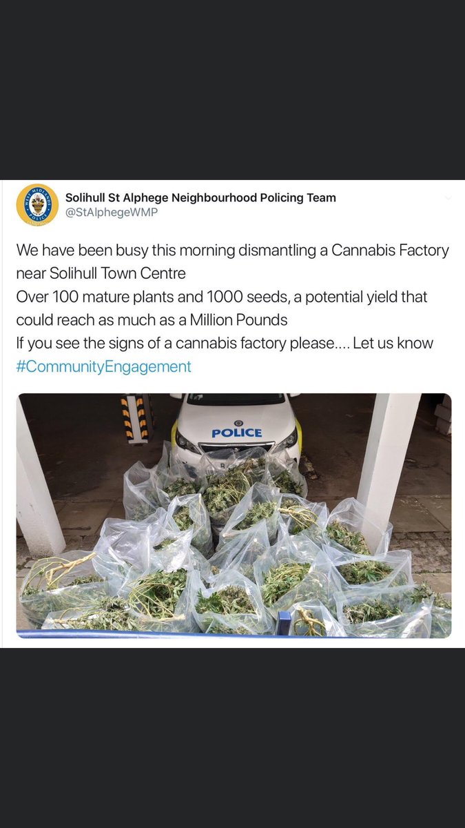 WMPDogs's tweet image. PD Captain &amp;amp; 👮🏽‍♂️were 1st at this incident last night, where they discovered a large cannabis factory. When other 🚔 arrived he conducted a search in the dark, at times in waist deep water 💦🛶searching for suspects. Captain used his nose to good effect,finding property in the 💦.