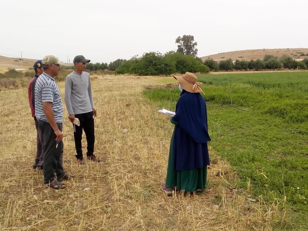 AtlasHigh's tweet photo. Today, the #HAF #tree_monitoring team met 24 #farmers in Ouelad Aatou Village, Beni Khalek Commune, Settat Province. They collected data from 1184 olive and pomegranate trees.
Plant trees and #GrowWithUs https://t.co/a7pH9tWyY7 https://t.co/o4E7SWYZIK