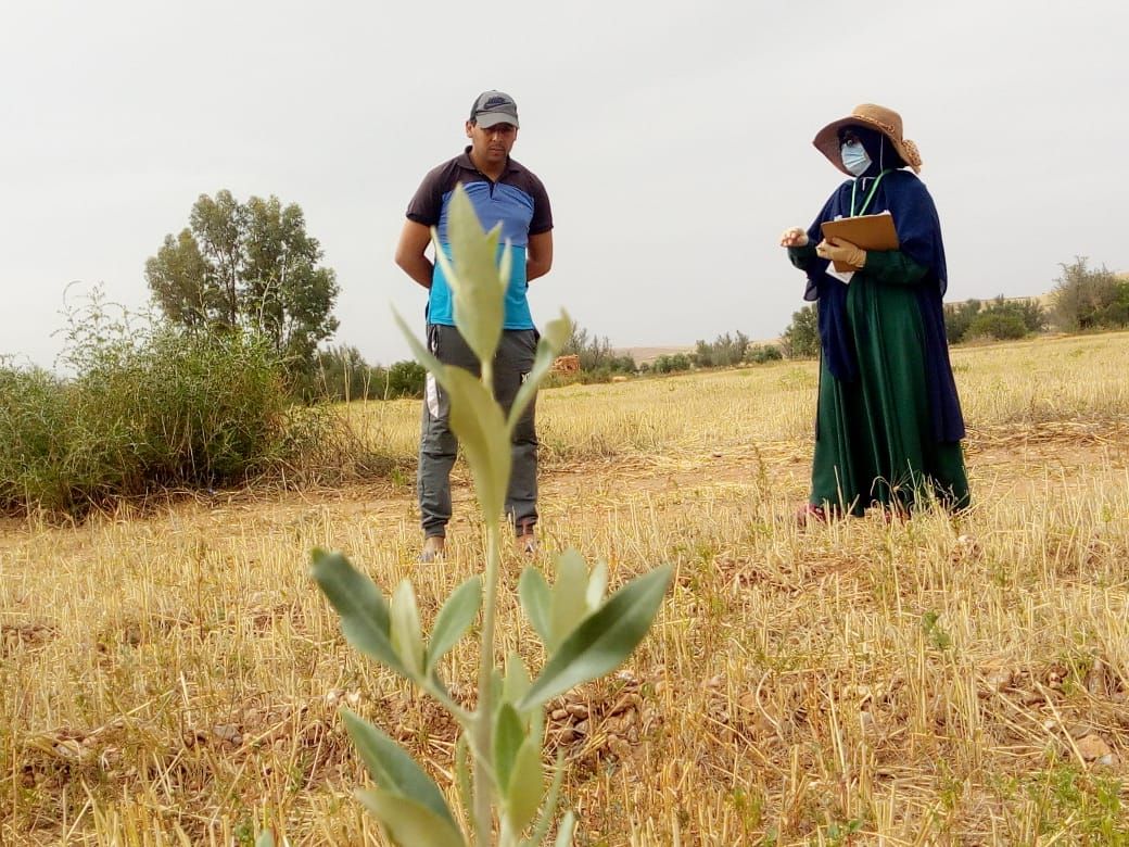 AtlasHigh's tweet photo. Today, the #HAF #tree_monitoring team met 24 #farmers in Ouelad Aatou Village, Beni Khalek Commune, Settat Province. They collected data from 1184 olive and pomegranate trees.
Plant trees and #GrowWithUs https://t.co/a7pH9tWyY7 https://t.co/o4E7SWYZIK