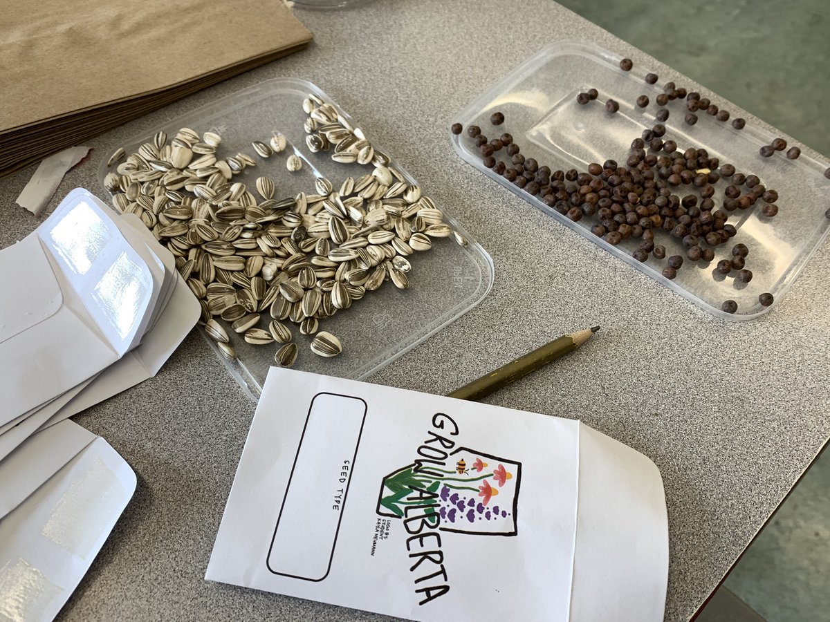 EdgemontGrade5's tweet photo. Thank you parent council for your support in providing soil for seed kits! Also thank you to #growalberta and the participating teachers. What an opportunity for students to be leaders in creating seed kits to support families to start growing gardens in our community! https://t.co/4PzrtsUM3N