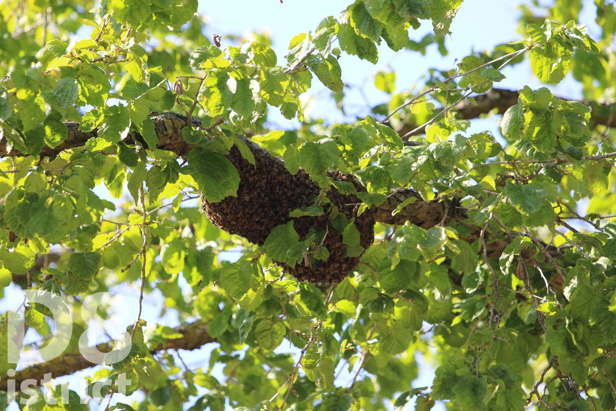 Melding brandweer Groenlandselaan Delft