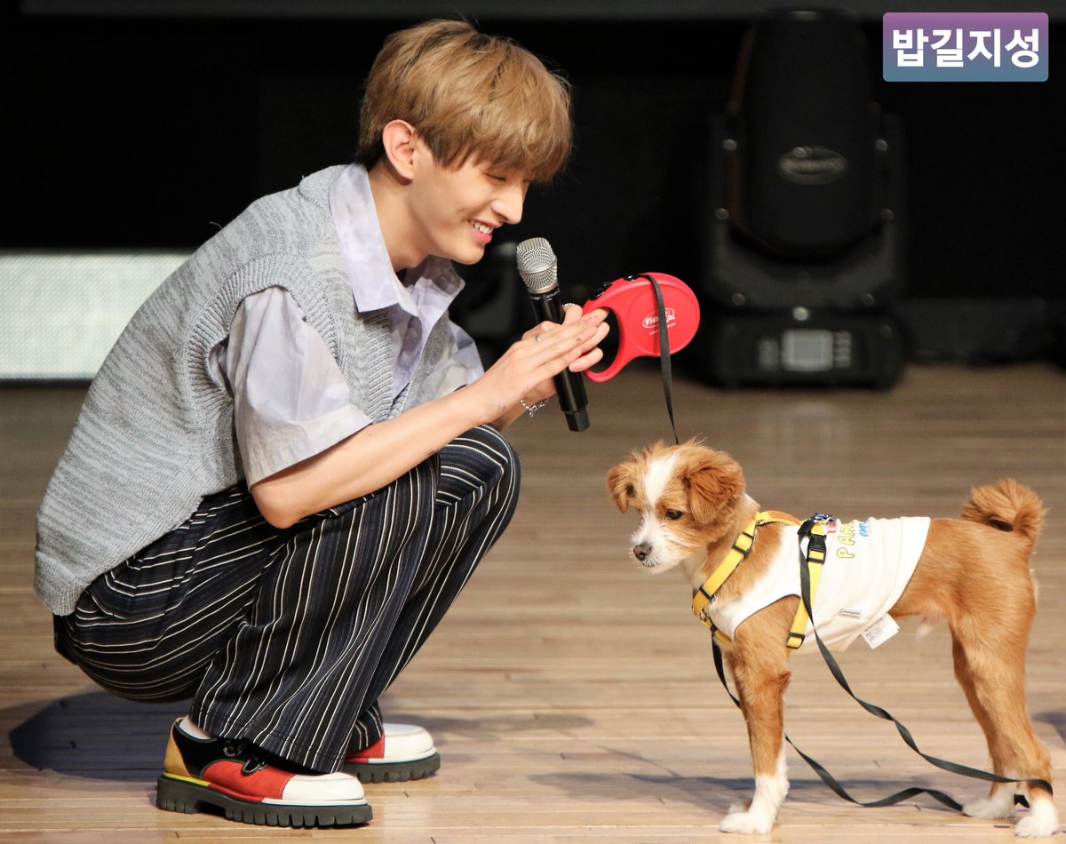 babgil_jisung's tweet photo. 210528 일지아트홀 마지막 대면팬싸

지성이와 베로.. 진짜 힐링조합~!
간없개없(간식이 없으면 개인기도 없다 ㅋㅋㅋ 단호한 베로🤣)

#윤지성 #베로 #팬싸 #밥길지성 https://t.co/8SNpRNEBk2