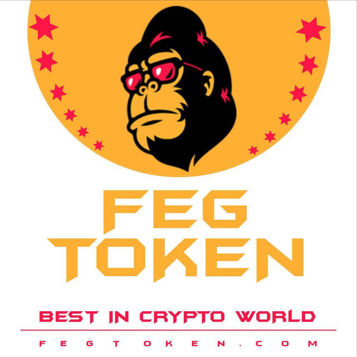 saeed36695476's tweet photo. @binance Are you kidding me , look at all gorilla 🦍 picture you will get your answer 
#FEG #fegtoken #FEGholders #fegex #Cryptocurrency #Fegtrack #fegarmy #FEGGIVESMIILLIONTOPASA #FEEDEVERYGORILLA #FEGTAKEOVER https://t.co/0hU1OKCC7V