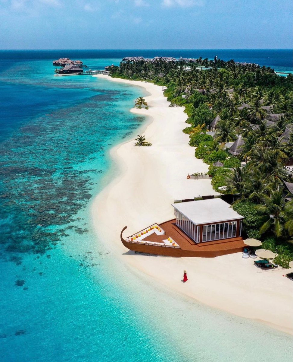 NatureVSCO's tweet photo. The Maldives 🐠🇲🇻
via: michutravel https://t.co/xE8XG8FFCa