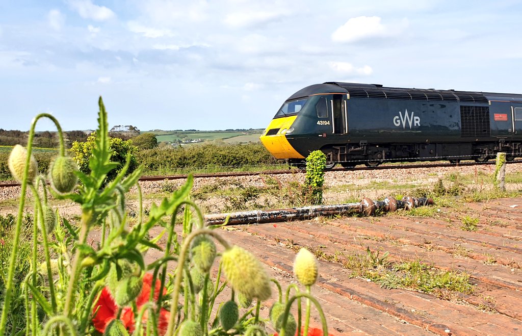 RemembeRoutes's tweet photo. It doesn't matter what Locomotive you are...or what #Train or #Freight Operating Company...
We hope they will all join The @VETERANSCHARITY and @GWRHelp and help #KeepingRemembranceOnTrack in 2021 by joining the #PoppyExpress https://t.co/aSg2kUbWIE