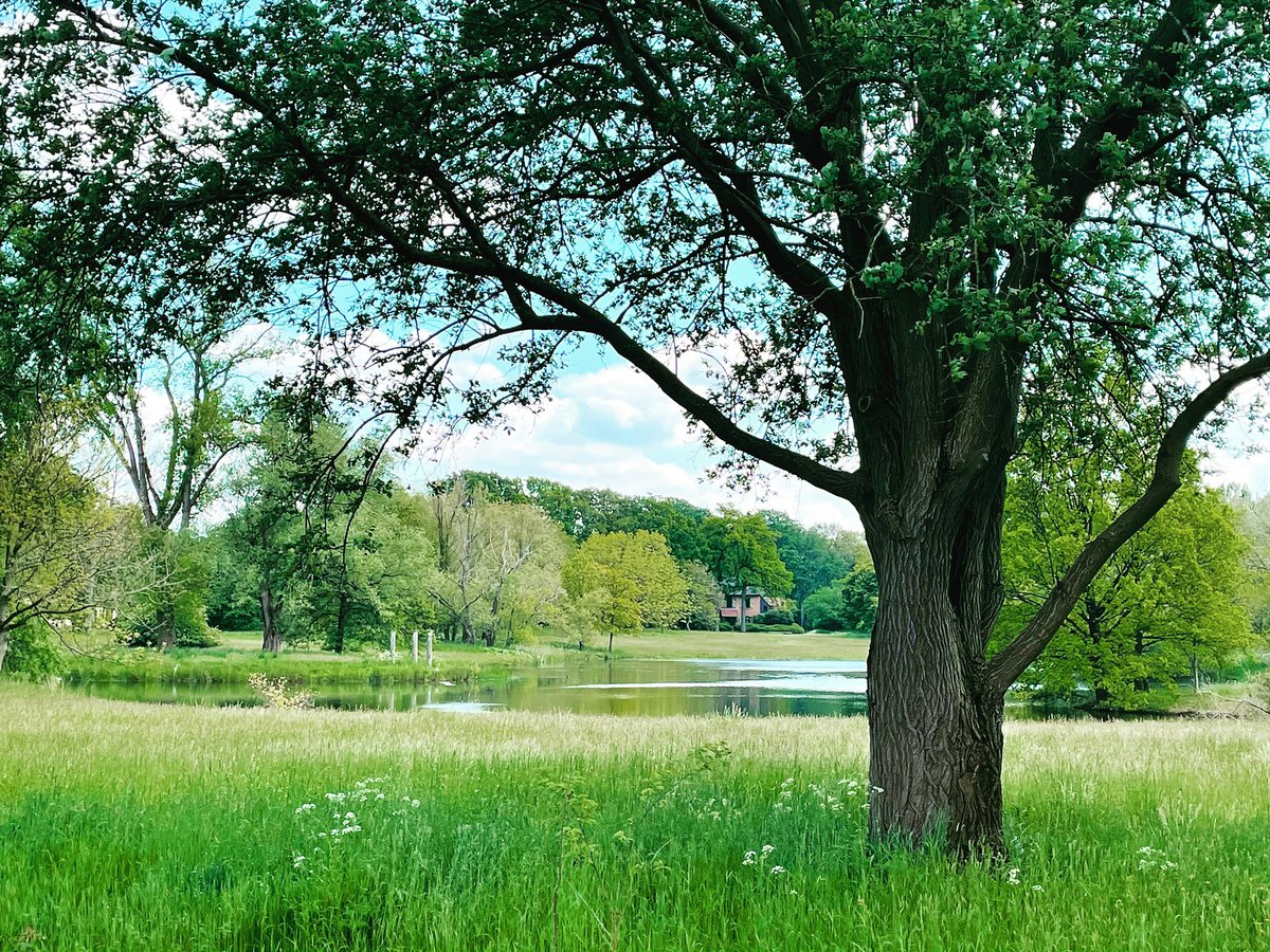 Eric de Regt tweet media