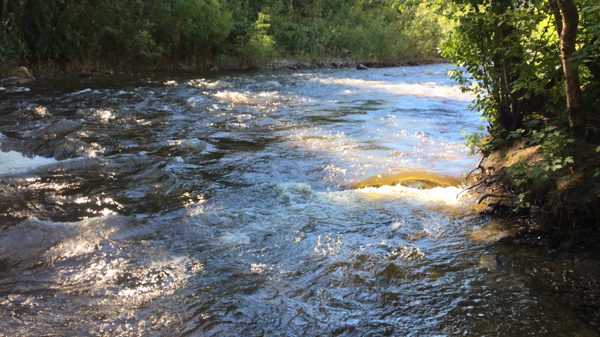 Weekend recharging #okanagan