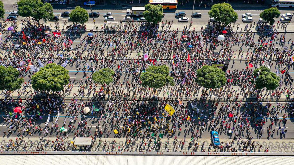 Dadá Coelho tweet media