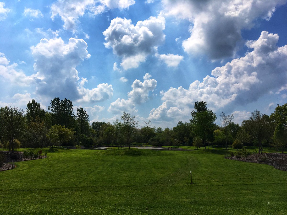 A gorgeous day for a walk round #breezykneesgardens #wellbeing #blueskies #beautifulday #sunshineatlast