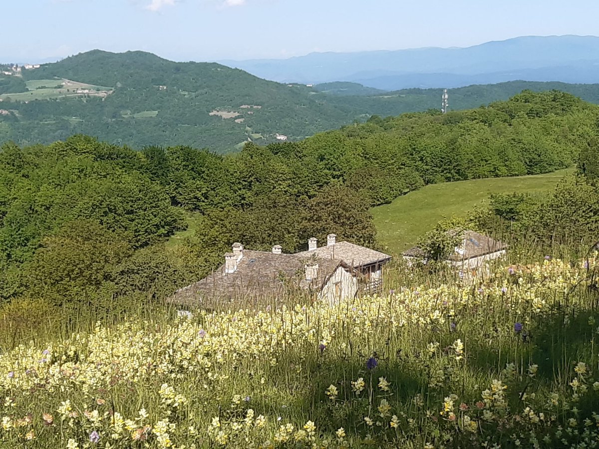 AlbaLAstorina's tweet photo. sharing first reflections #SoilFertility #ResearchNarratives #YoungResearchers and how to develop them #BRIDGESproject #conFondazioneCariplo is a collective creative experience if you are @pianpicollo https://t.co/y0vHEmiRct